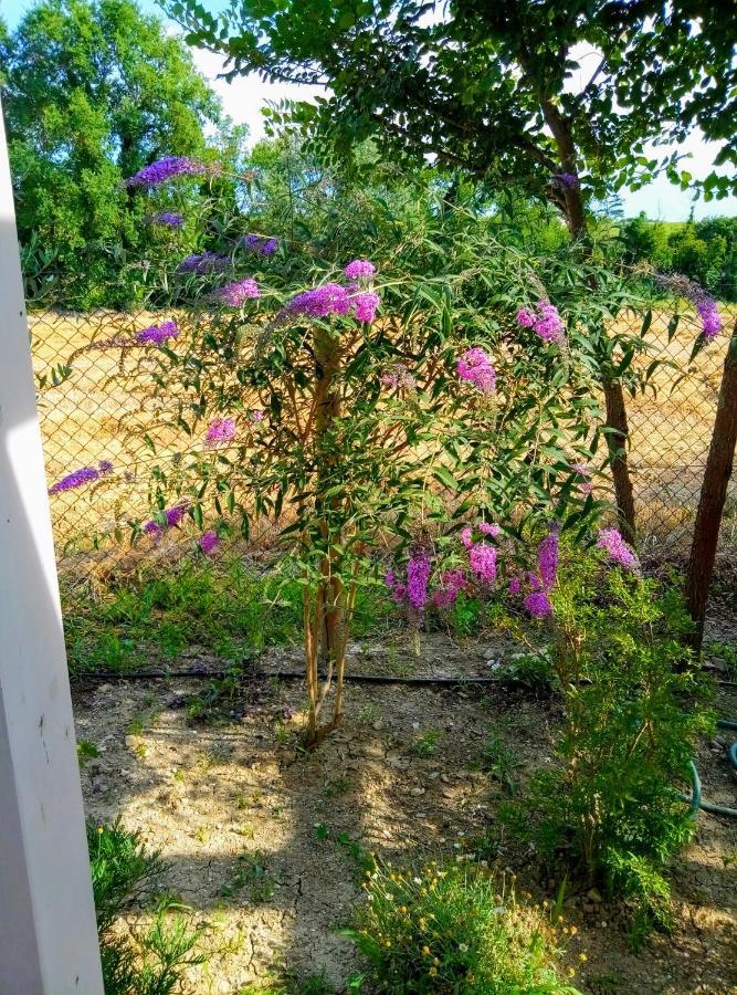 La Casa Di Tara B&B Armonia E Natura Recanati Ngoại thất bức ảnh