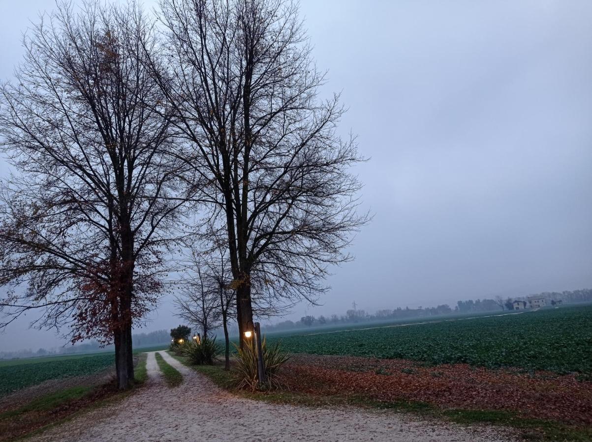 La Casa Di Tara B&B Armonia E Natura Recanati Ngoại thất bức ảnh