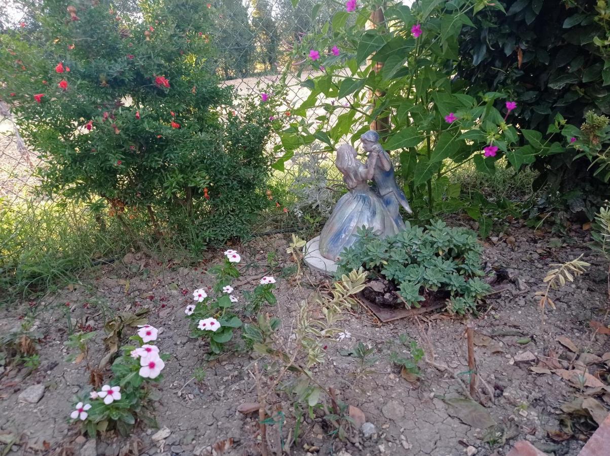 La Casa Di Tara B&B Armonia E Natura Recanati Ngoại thất bức ảnh