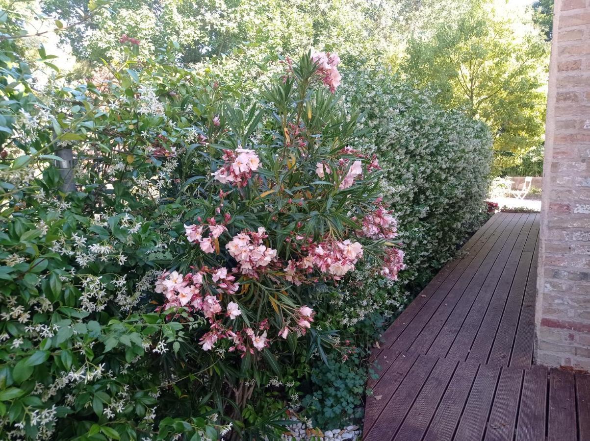 La Casa Di Tara B&B Armonia E Natura Recanati Ngoại thất bức ảnh