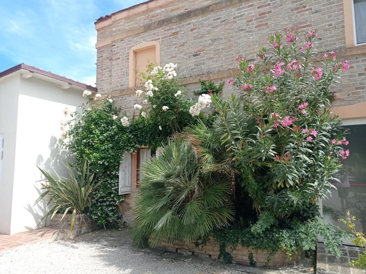 La Casa Di Tara B&B Armonia E Natura Recanati Ngoại thất bức ảnh