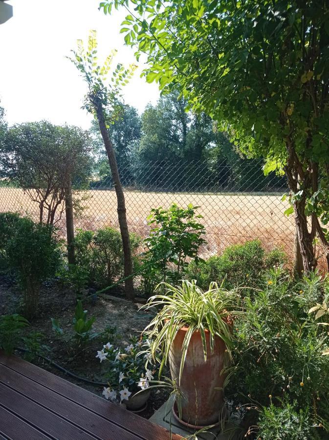 La Casa Di Tara B&B Armonia E Natura Recanati Ngoại thất bức ảnh
