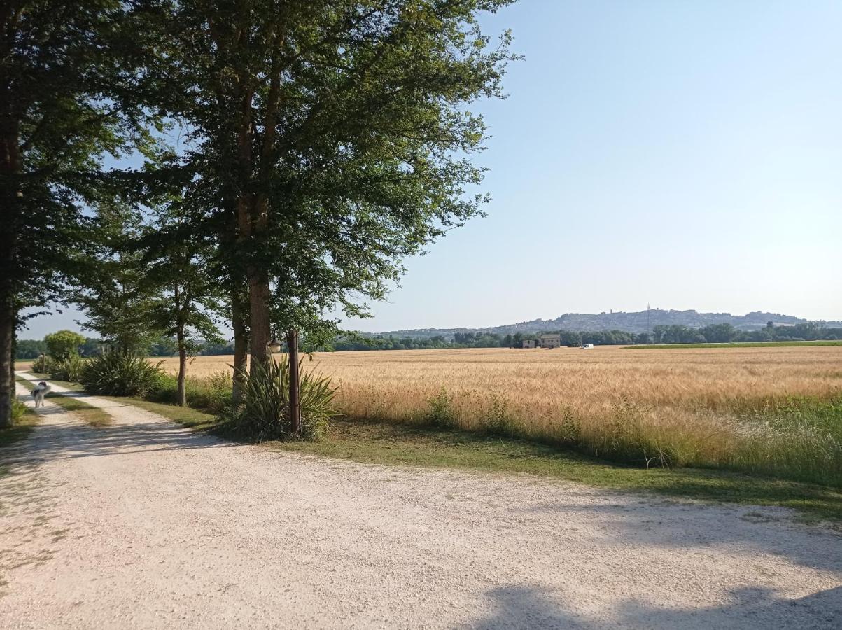 La Casa Di Tara B&B Armonia E Natura Recanati Ngoại thất bức ảnh