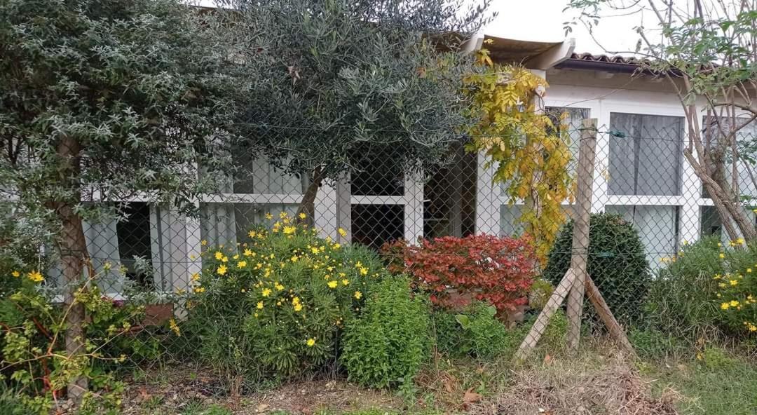 La Casa Di Tara B&B Armonia E Natura Recanati Ngoại thất bức ảnh