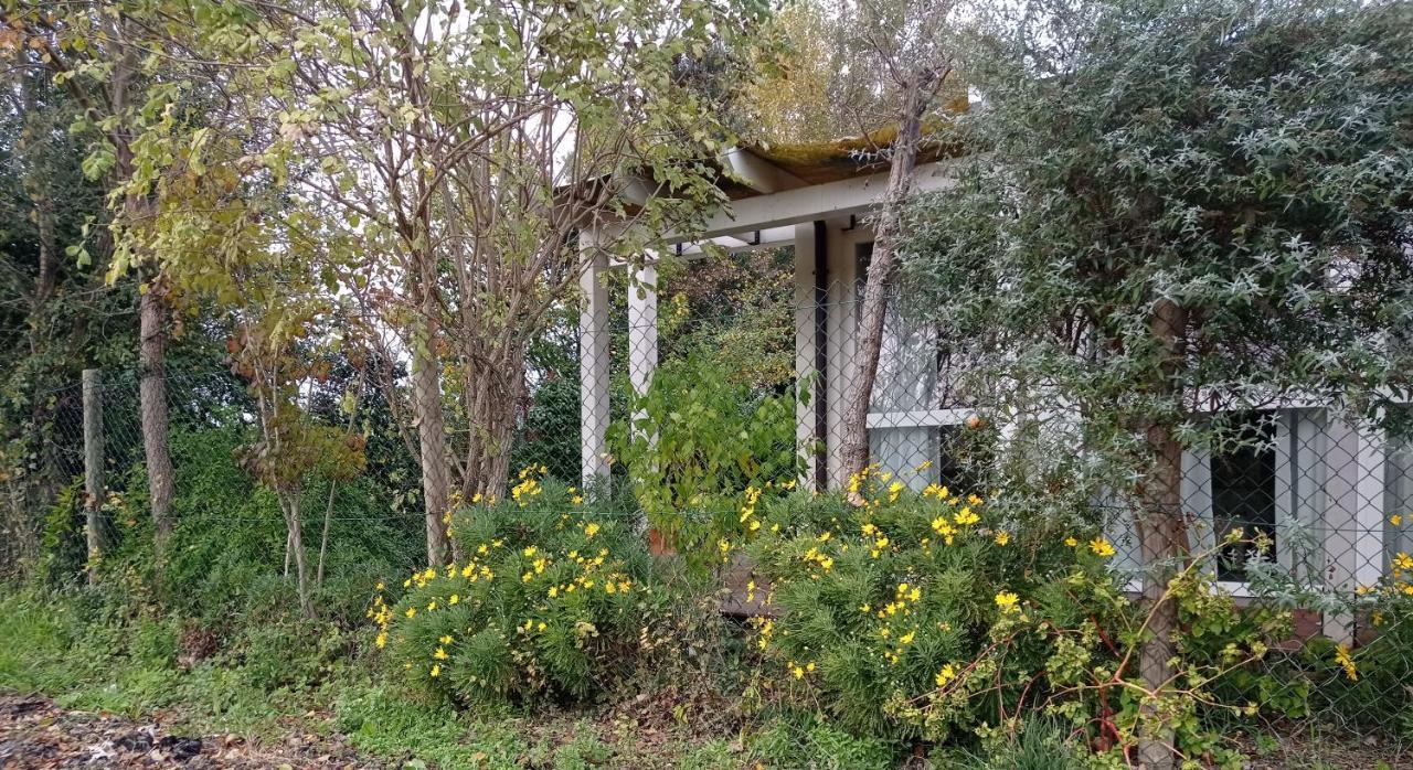 La Casa Di Tara B&B Armonia E Natura Recanati Ngoại thất bức ảnh