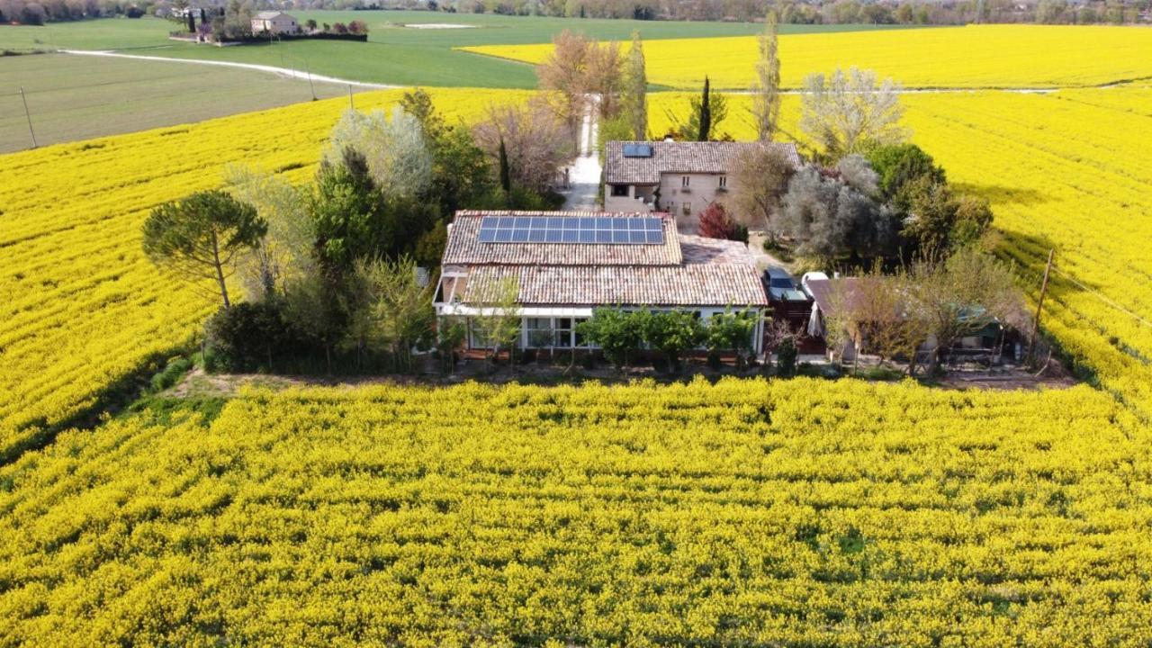 La Casa Di Tara B&B Armonia E Natura Recanati Ngoại thất bức ảnh
