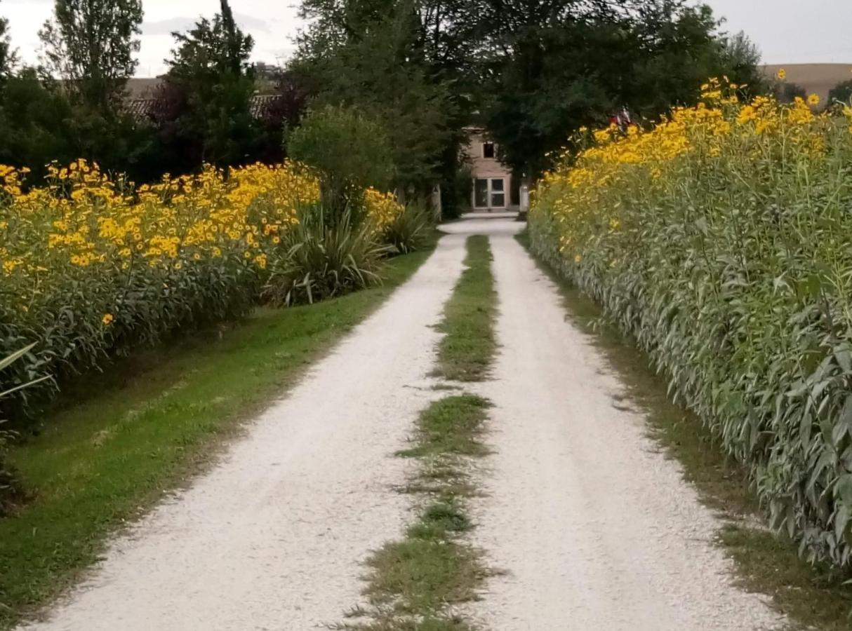 La Casa Di Tara B&B Armonia E Natura Recanati Ngoại thất bức ảnh