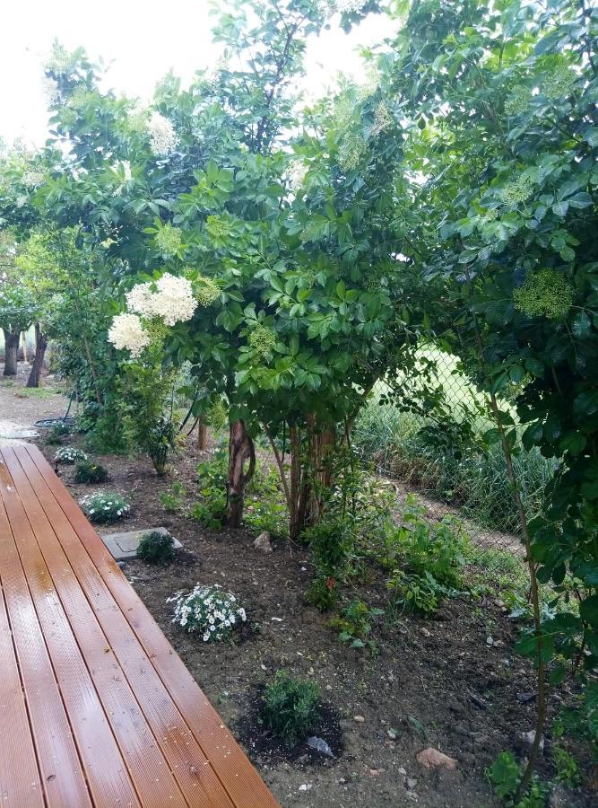 La Casa Di Tara B&B Armonia E Natura Recanati Ngoại thất bức ảnh