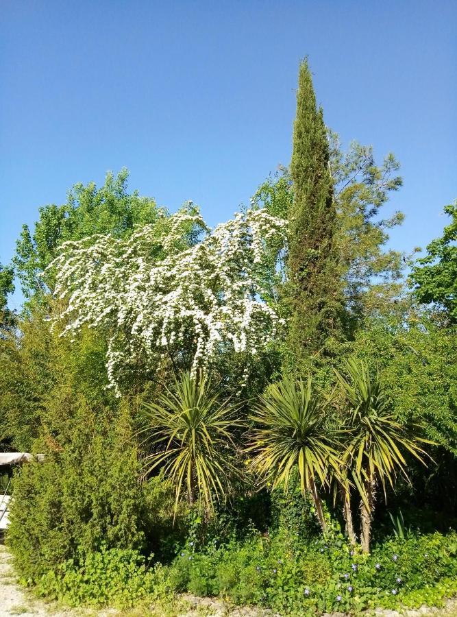 La Casa Di Tara B&B Armonia E Natura Recanati Ngoại thất bức ảnh