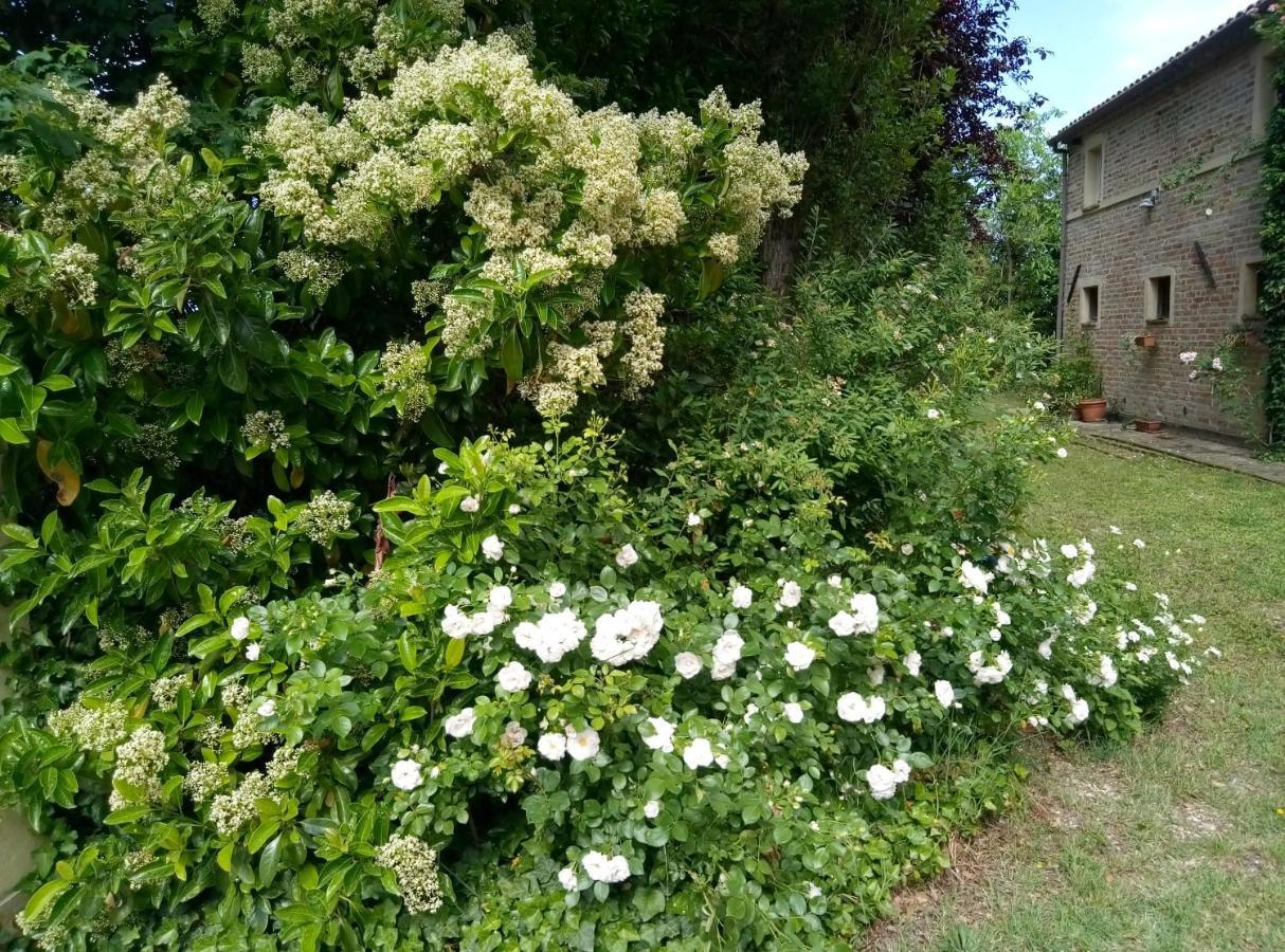 La Casa Di Tara B&B Armonia E Natura Recanati Ngoại thất bức ảnh