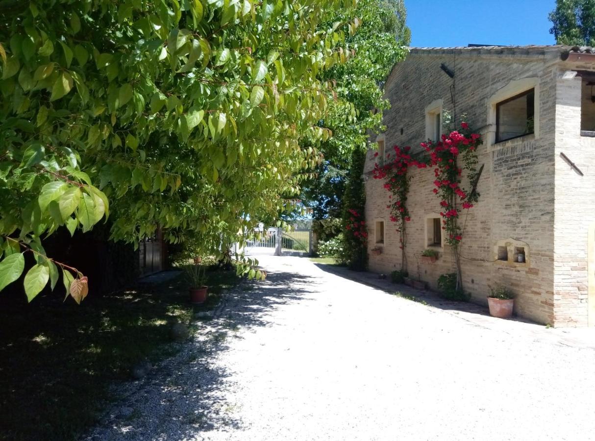 La Casa Di Tara B&B Armonia E Natura Recanati Ngoại thất bức ảnh